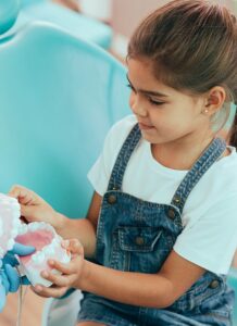 young girl at the pediatric dentist looking at the model of a mouth and teeth