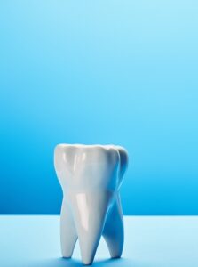 close up view of white tooth model on blue backdrop