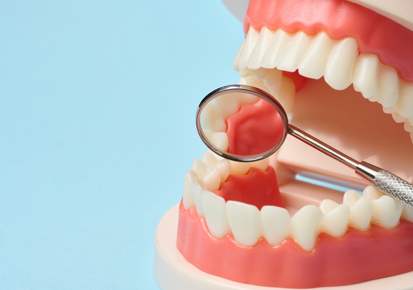 Plastic model of human jaw with white even teeth and a medical examination mirror